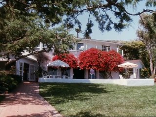 Blondes Gift - Die Zwei Gesichter Einer Frau