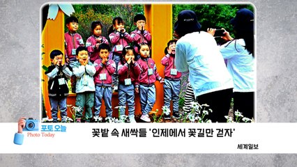 [포토오늘] 꽃밭 속 새싹들 '인제에서 꽃길만 걷자' / YTN