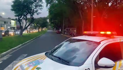 Vento forte levanta nuvem de poeira, escurece o céu e derruba árvore