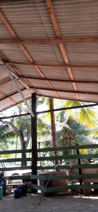 A vida com todos os fatos que é.