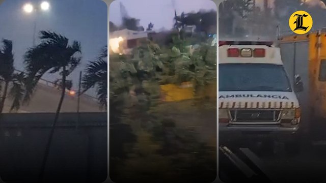 Lluvias y vientos provocan inundaciones momentáneas y caída de árboles en Santiago