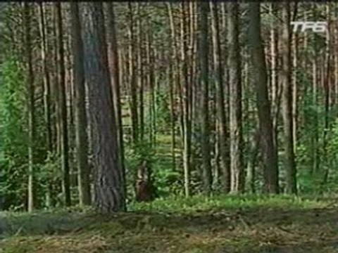 2x06 Les Nouvelles Aventures de Robin des Bois (partie 3)