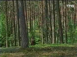 2x06 Les Nouvelles Aventures de Robin des Bois (partie 3)