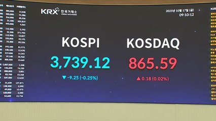 '4천피' 보인다?...새역사 쓰는 코스피 개장 상황 / YTN