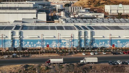 Claudio Limón presenta su mural “Constelación infinita”, representativa de los Altos de Jalisco y el Tequila
