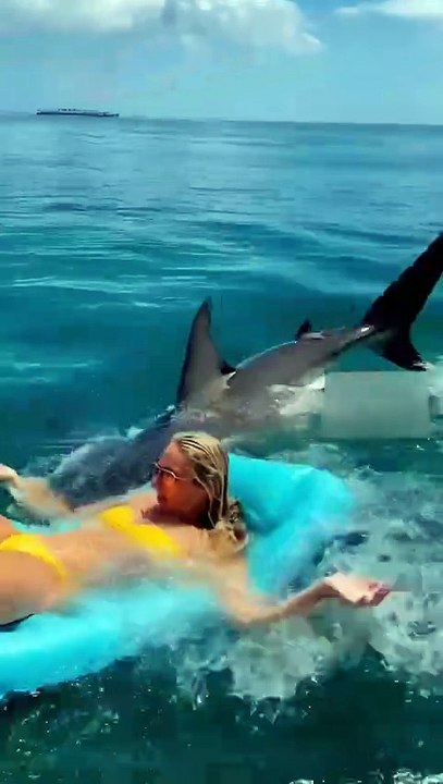 shark attack the girl.