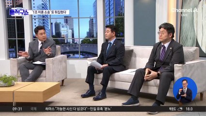 [핫피플]‘세기의 이혼’ 원점으로…재산분할 1조 원 삭감?