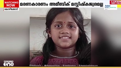നാലാം ക്ലാസുകാരിയുടെ മരണം; മരണകാരണം മസ്തിഷ്കജ്വരമല്ല, പോസ്റ്റ്മോർട്ടം റിപ്പോർട്ട് പുറത്ത്