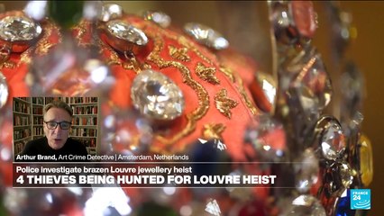 Louvre heist gang 'are professional thieves', may be tracked down via DNA, art crime detective says