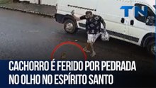 Cachorro é ferido por pedrada no olho Espírito Santo