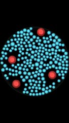 Red vs Blue Balls Game _ Mind-Bending Physics