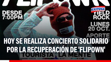 Hoy se realiza concierto solidario para recaudar fondos por la recuperación de 'Flipown'
