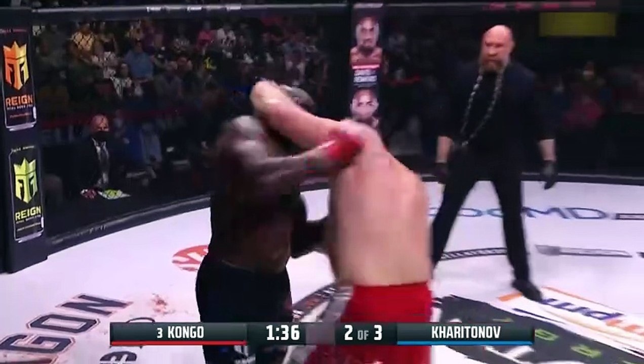 Submissions in MMA  Part 13  Best MMA Finishes, Chokes & Armbars 2025