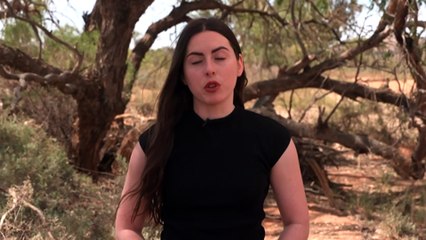 Renewed search for missing 4-year-old Gus ends with no evidence found