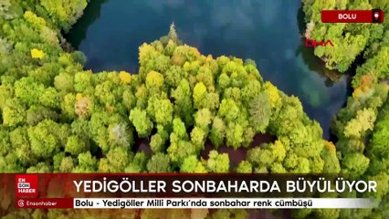 Bolu - Yedigöller Milli Parkı’nda sonbahar renk cümbüşü
