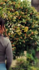 Fated to My Homeless Billionaire Alpha - All Episodes #abel