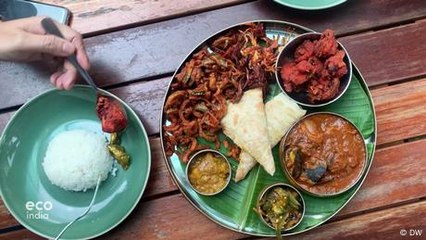 From obesity to opportunity: A salad startup in Chennai