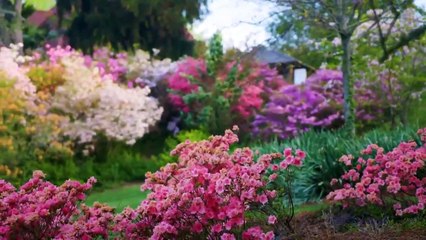 This Old House - Season 47 Episode 4 - Carolina Comeback: Waterproof Work