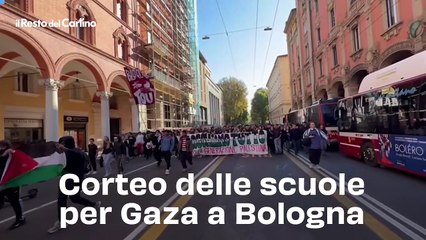 Corteo delle scuole per Gaza a Bologna: video