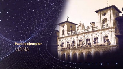 Roncal, Viana y Artajona optan a ser 'Pueblo Ejemplar' en los Premios Navarra Televisión