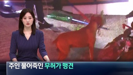 무허가로 기르던 맹견에 물린 여성 숨져