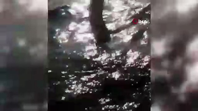 Karadeniz'de yabancı cisim alarmı! Balıkçılar buldu, ekipler harekete geçti