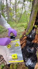 Bro Found a WOWCube Hidden Inside a TREE!? 🌳🤯