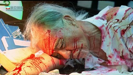 Cực Tốc Cương Thi - The Vampire Combat