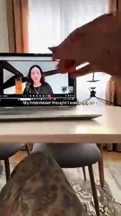 My interviewer thought I was cheating- nope, just using Summary AI to remember every single detail