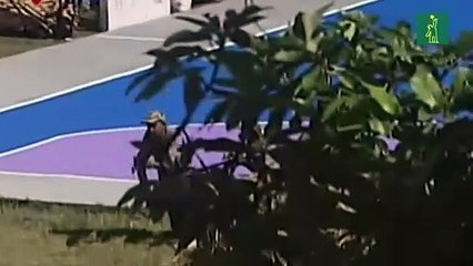 Venezuela refuerza presencia militar en frontera terrestre ante despliegue de EEUU