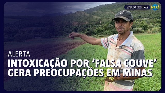 Prefeito alerta sobre novos casos de intoxicação por ‘falsa couve’ em Minas