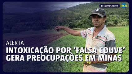 Prefeito alerta sobre novos casos de intoxicação por ‘falsa couve’ em Minas