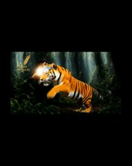 Presentación del taxista sin frenos.