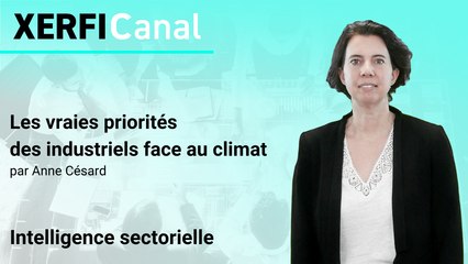Les vraies priorités des industriels face au climat [Anne Césard]