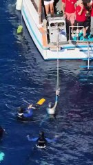 Şahika Ercümen, değişken ağırlık paletsiz dalışta dünya rekorunu geliştirdi