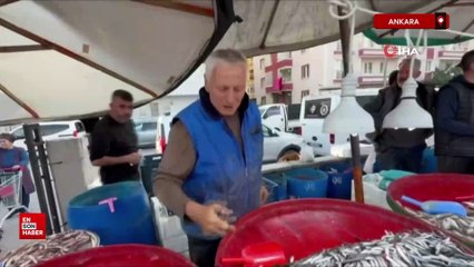 Ankara'da balıkçı balığın tazeliğini göstermek için hamsiyi çiğ çiğ yedi