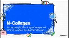 N-Collagen: Hào Nhoáng & Điều Tra - Động Thái Mới của Công ty Ngân Collagen