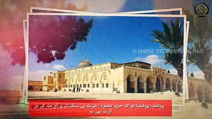 Jerusalem Tarana on Palestine 🇵🇸 | Voice of Resistance | Hafiz Syed Abid ul Haq | Islamic Emotional Anthem 2025