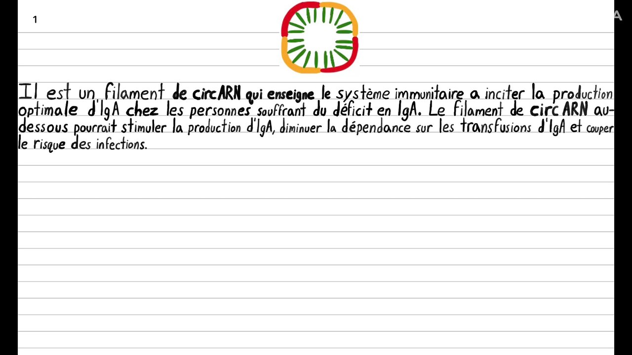 Un filament de circARN pour traiter le deficit déficit en IgA