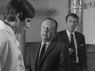 Der Kommissar - Folge 4 - Die Tote im Dornbusch