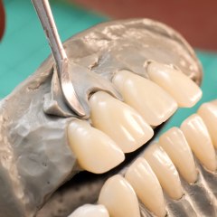 Headphone case: Use fossilized teeth!