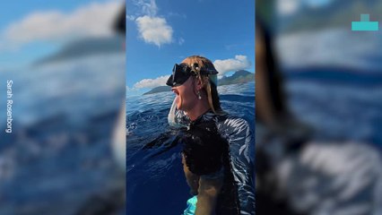 Crazy Humpback Whale Encounter