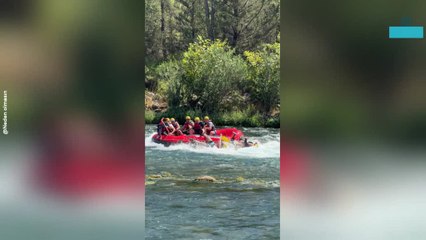 Rafters Take an Unexpected Dip in Turbulent Waters