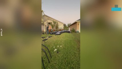 Giant Halloween Skeleton Towers Over Family Home