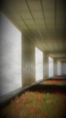 Backrooms - Épisode 16 : Miss Sunshine ☀️ | Découvrez le Mystère de la Lumière