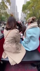 Elle se reçoit de la m*rde de cheval de calèche à New York en pleine tête