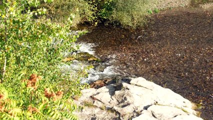 Rutas del Agua Multimedia de la Fundación Canal pone en valor la biodiversidad de Madrid