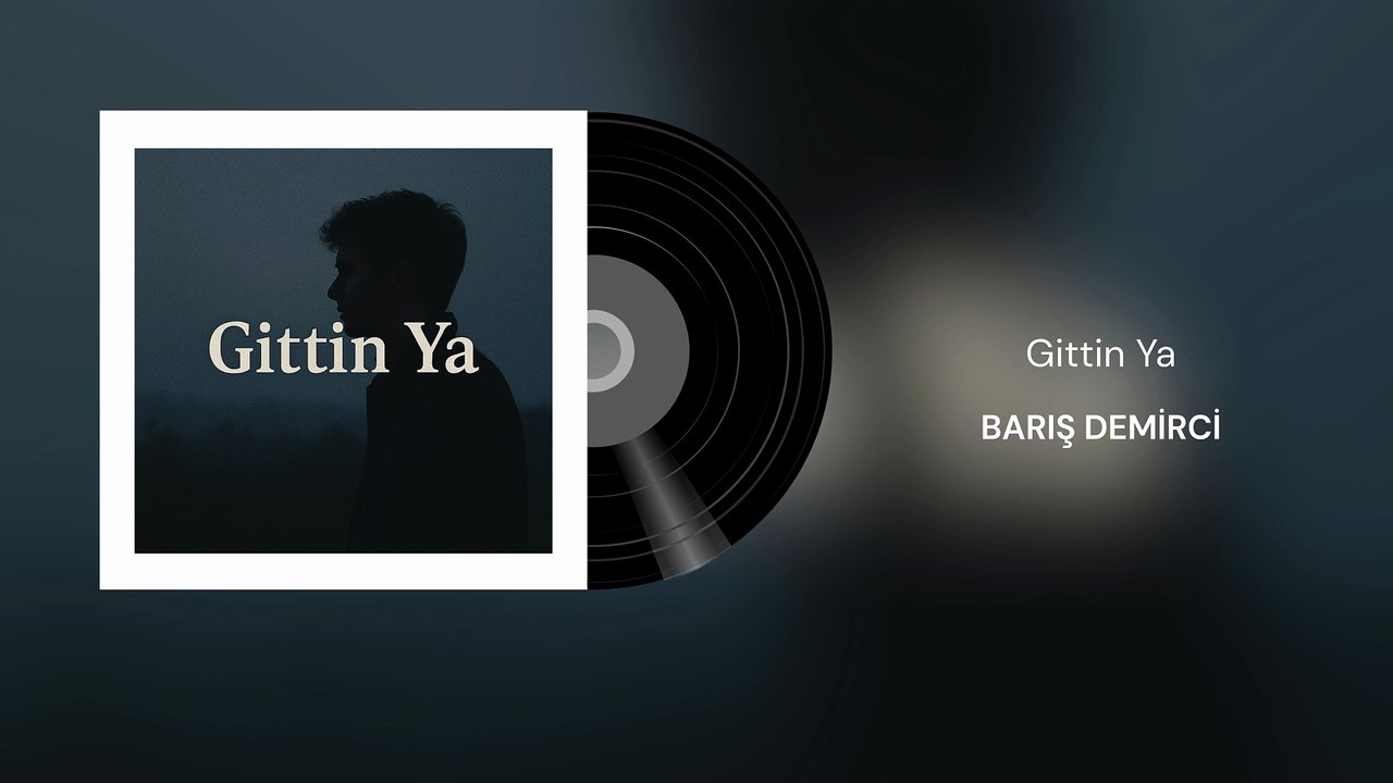 Barış Demirci - Gittin Ya (Official Audio)