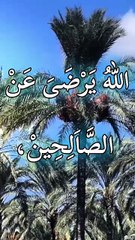 مجموعة من أمثال النبي سليمان عليه السلام. من كتاب الأمثال فصل 12