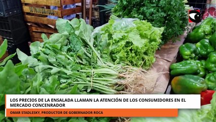 LOS PRECIOS DE LA ENSALADA LLAMAN LA ATENCIÓN DE LOS CONSUMIDORES EN EL MERCADO CONCENRADOR